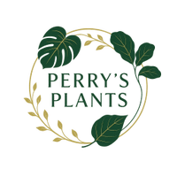perrysplants.com