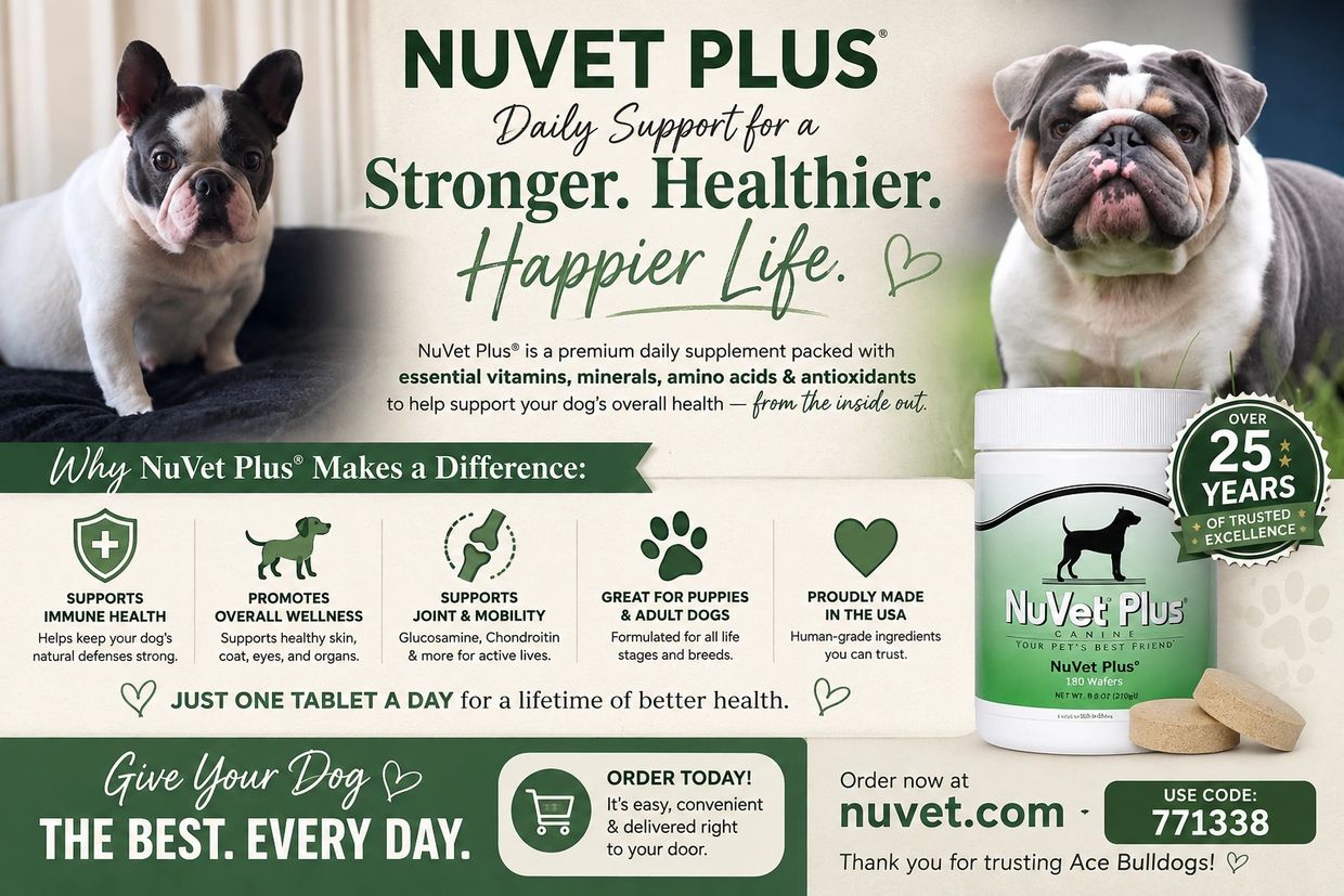 Limited ingredient vitamins and supplements for my dogs over 