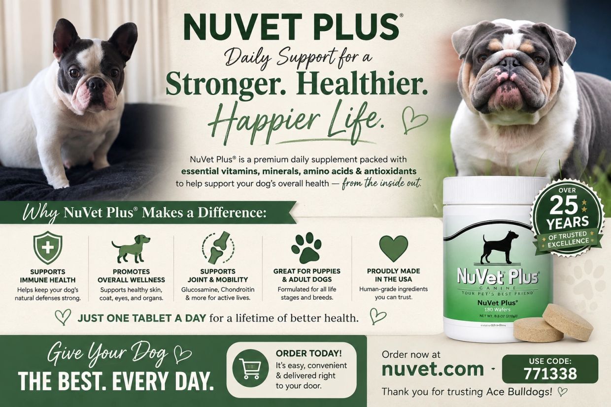 Limited ingredient vitamins and supplements for my dogs over 