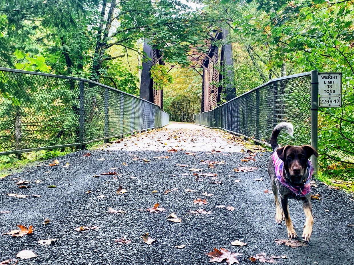 Cedar River Trail Hobart, WA