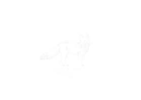 Critics' Choice International