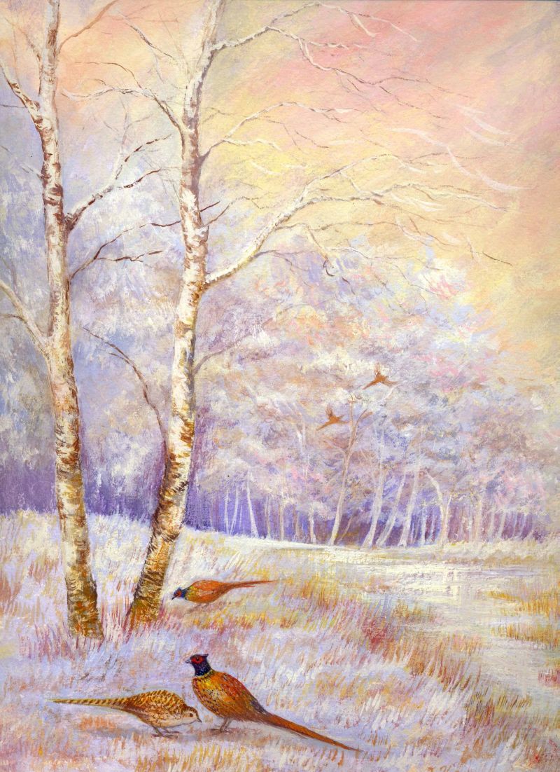 Silver birch landscape with pheasants_2.JPG