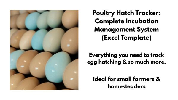 hatch tracker, incubation tracker, poultry hatch log, chicken hatch spreadsheet, turkey incubation, 