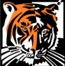 Wise Auto Group