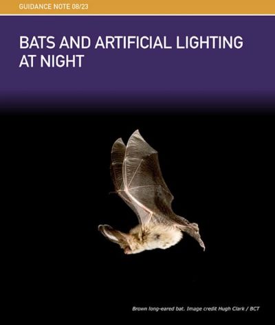 Guidance Note 08: Bats and artificial lighting at night