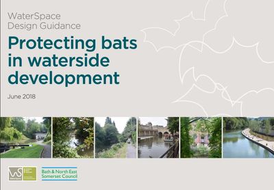 Protecting Bats in Waterside Development