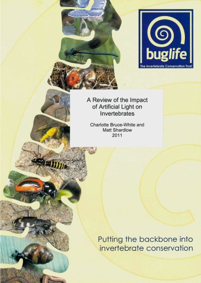 A review of the impact of artificial light on invertebrates