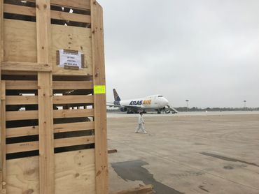 Livestock export air freight crate filled with alpacas in front of 747-400 Atlas cargo freight plane