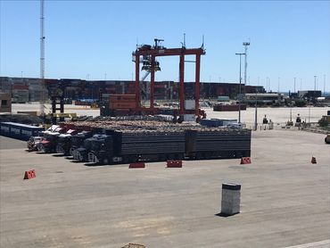 Australian Sheep Trucks Waiting to Load Livestock Ship for Export