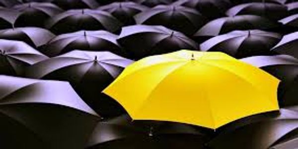 Why should you select us over many other consultants in market?