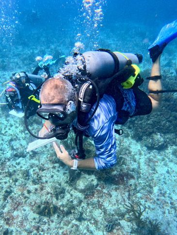 Scuba divers exploring a coral reef underwater.