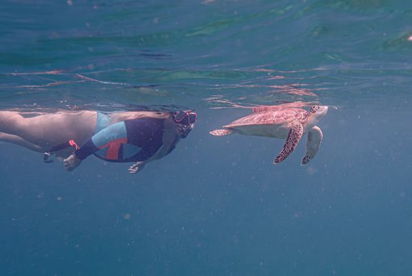 A snorkeler swims alongside a sea turtle underwater.