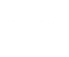 sofiandfred.com