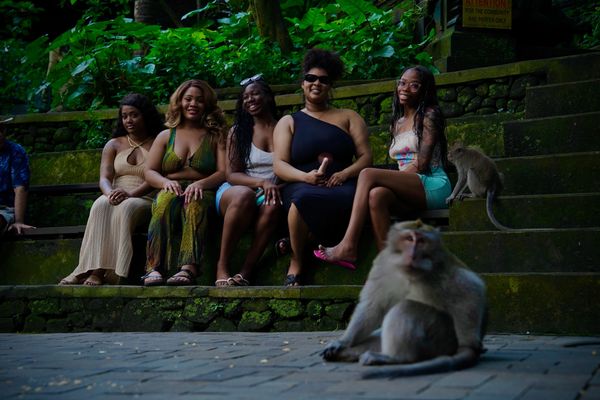 Five women sit on steps near monkeys in a lush green setting.