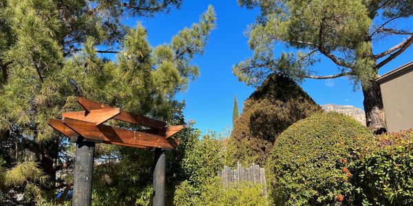 zen garden
space for self healing
Thunder Mountain
Craniosacral
Biodynamics