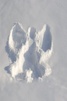 Angels on Earth Supportive & Companionship Care
