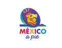 México a Pie Walking Tours