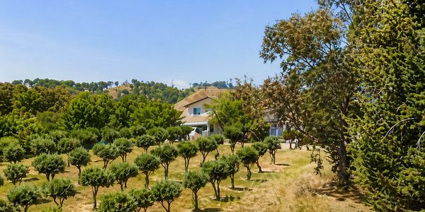 A house surrounded by small trees and greenery under a clear blue sky.