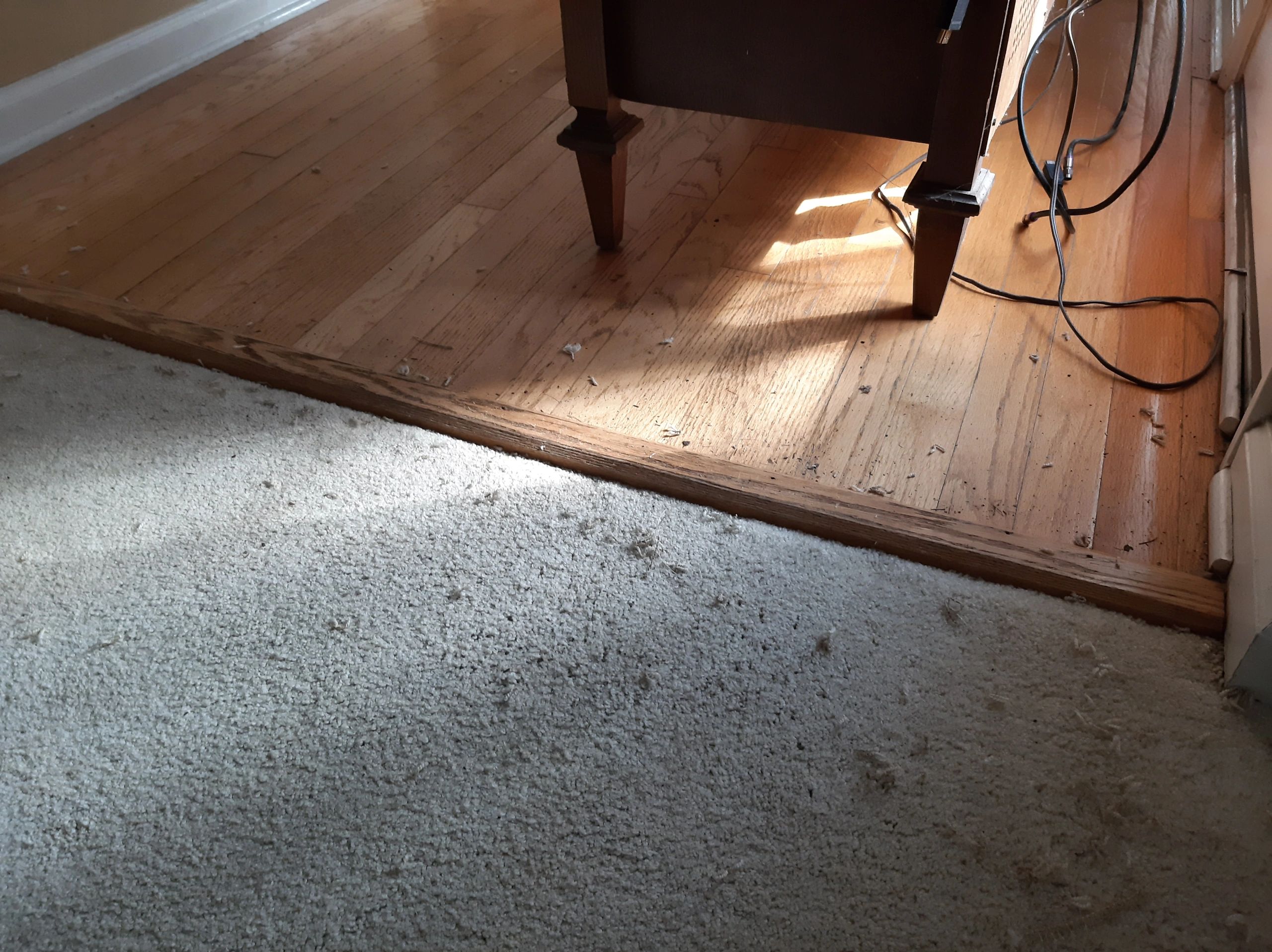 Carpet Transitions in Littleton, CO