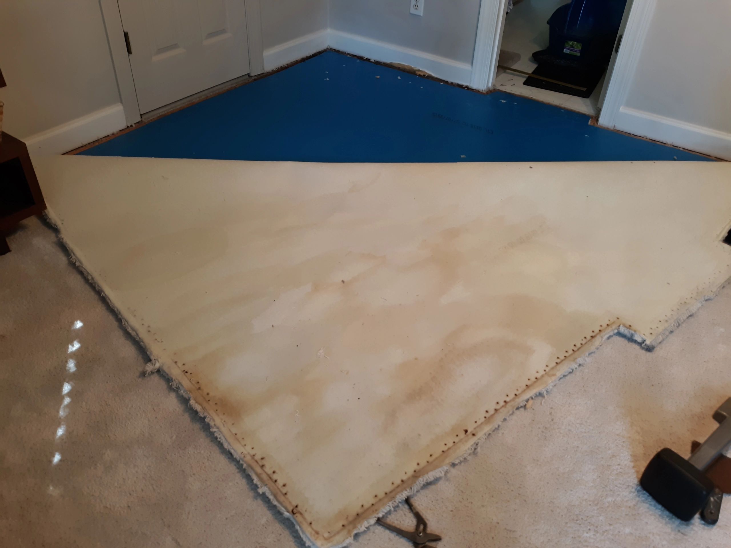 How would you go about patching this pet damaged carpet? I do have some  extra carpet and underlaying material : r/Flooring