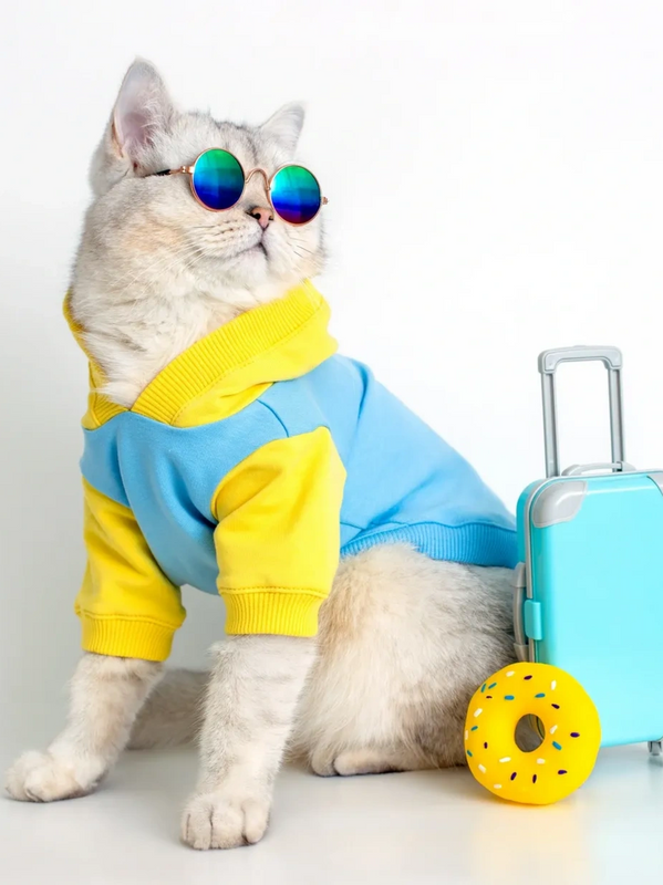 cat with jacket, glasses, and suitcase