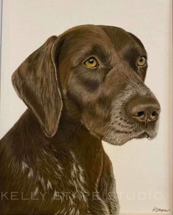 Charcoal pet portrait 