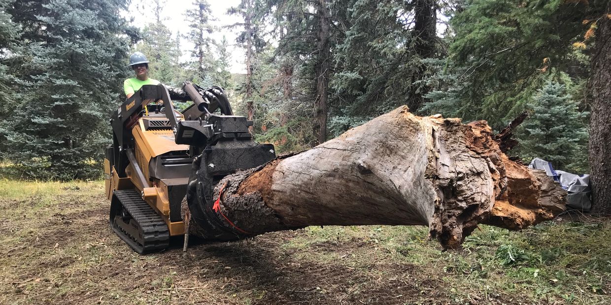 Woman driving a skid steer moving dead tree