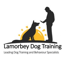 Welcome to Lamorbey Dog Training and Behaviour