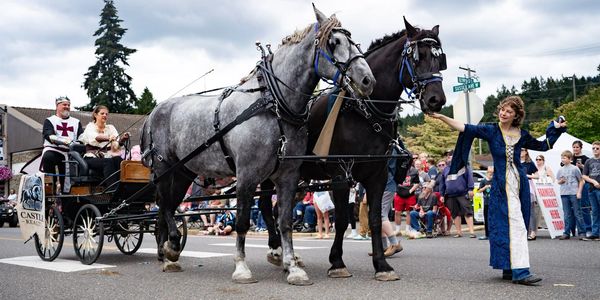A parade with horses and people in medieval costumes.