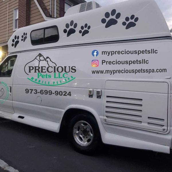 pet spa four paws mobile dog grooming