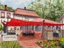 Carol's Watercolors