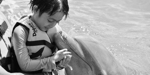 Child in life jacket gently interacts with a dolphin in water.