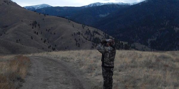 Glassing for Elk