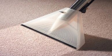 Carpet cleaning extraction 