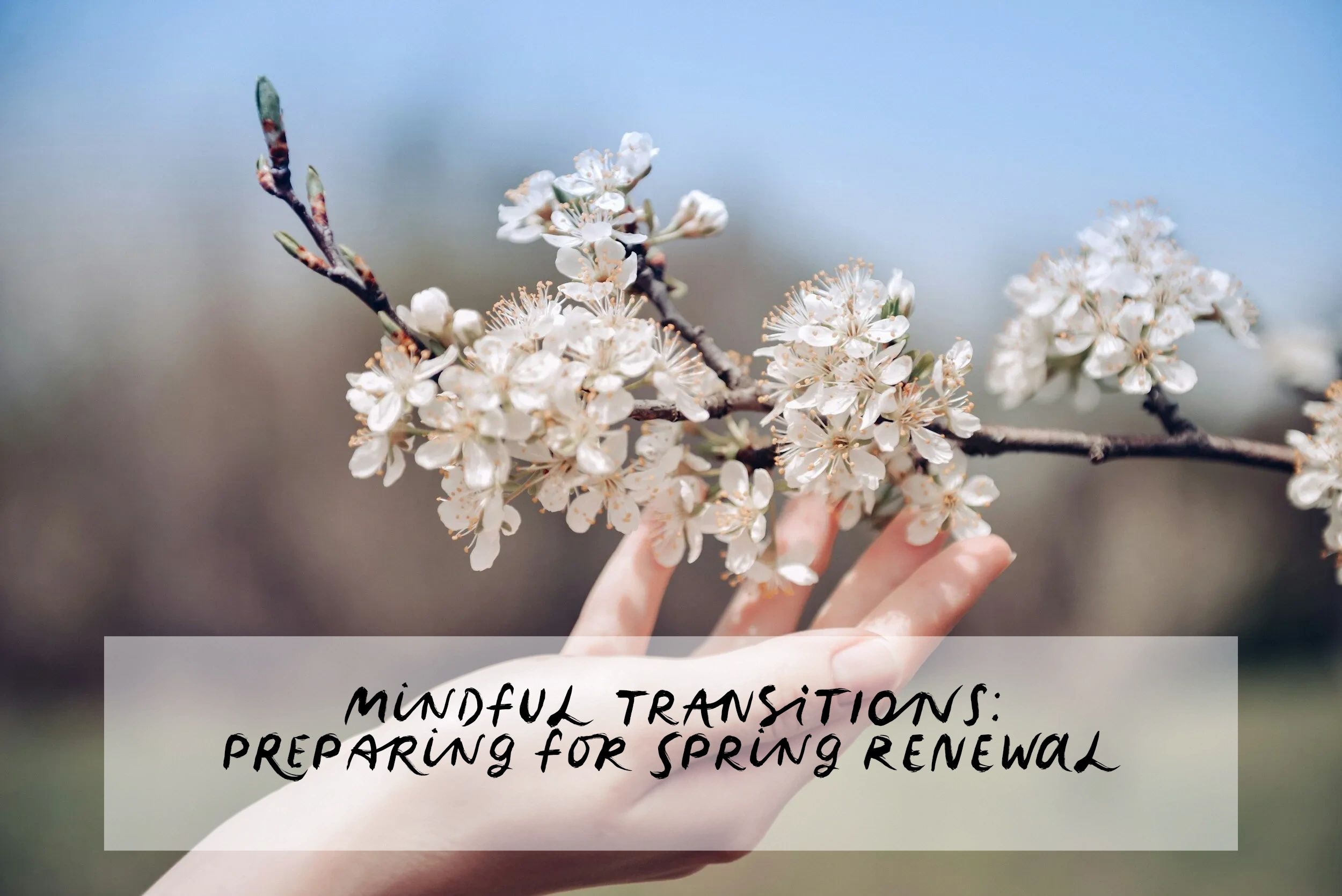 Spring Renewal Mindful Transitions: Preparing for Spring Renewal