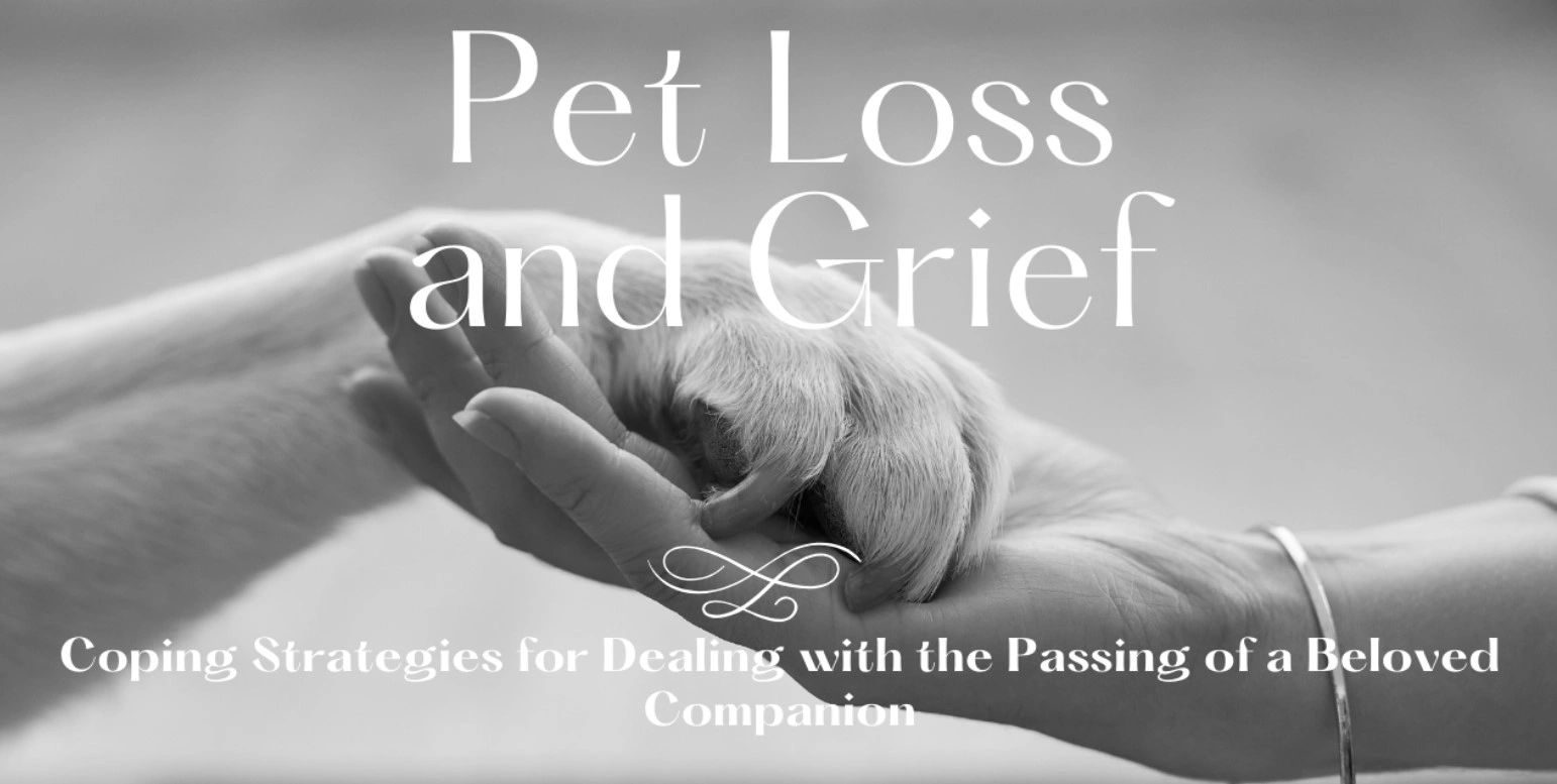Coping With Pet Loss Navigating Grief And Finding Support