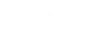 FUTURE ENERGY INNOVATIONS