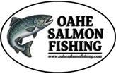 Oahe Salmon Fishing
