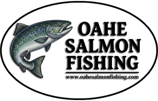 Oahe Salmon Fishing
