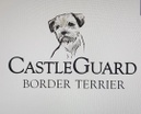 Border Terrier