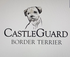 Border Terrier
