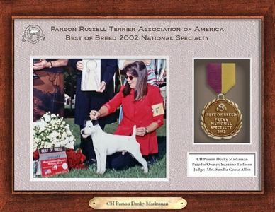 Award plaque for Best of Breed 2002 featuring a Parson Russell Terrier and owner.
