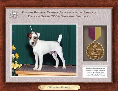 Award-winning Parson Russell Terrier named CH Howlbeck Uno-Who from 2004.