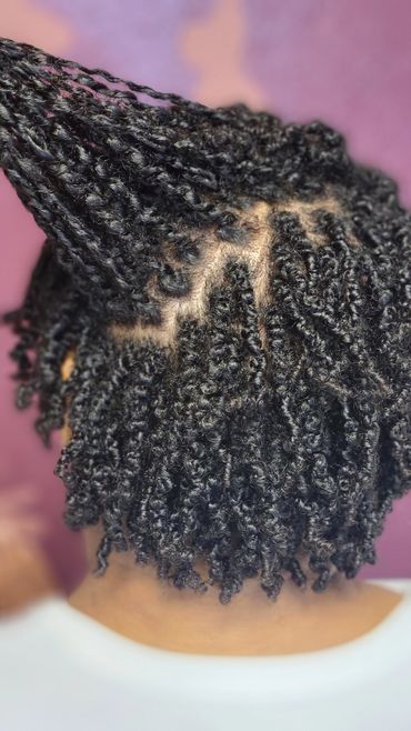 Mini TWISTS