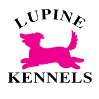 Lupine Kennels Boarding and Grooming     
