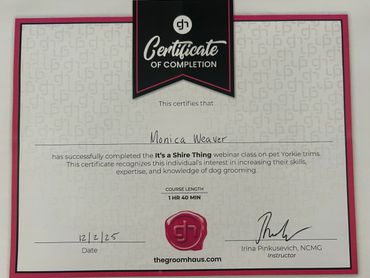 Yorkshire Terrier Certificate