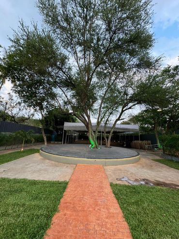 A tree in the center of a circular platform with a red brick pathway leading to it.