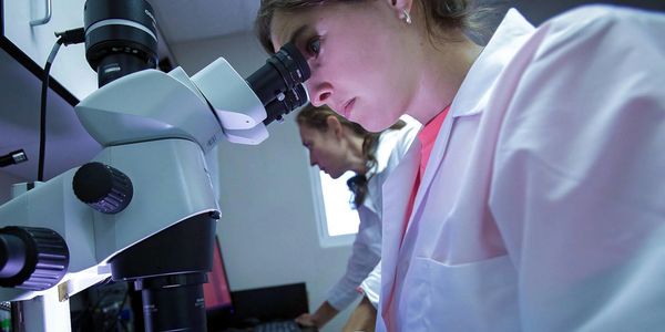 Scientists in a laboratory.