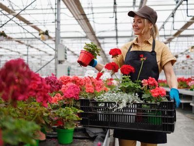Vibrant outdoor display of colorful potted flowers.