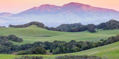 Mount Diablo and rolling green hills in Contra Costa County